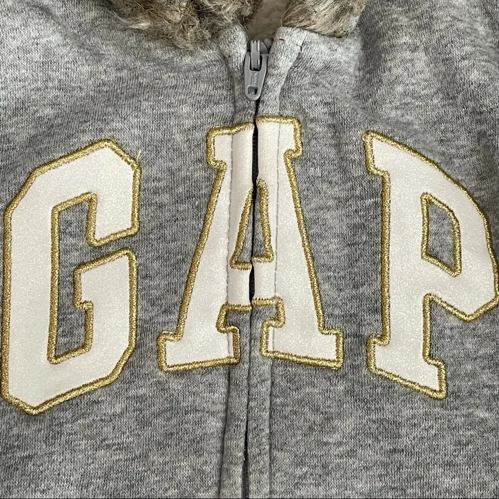 Baby Gap Toddler Girl Hoodie Size 3T